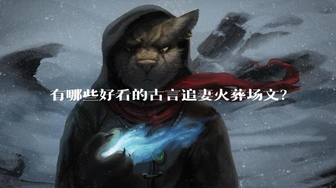 有哪些好看的古言追妻火葬场文？